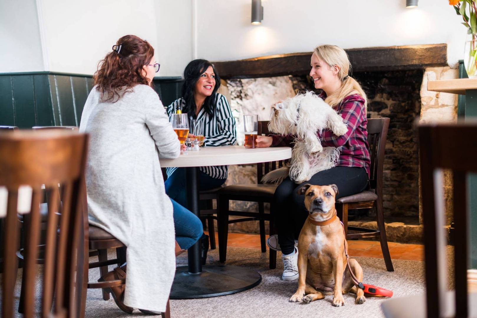 Three women at a pub table with two dogs