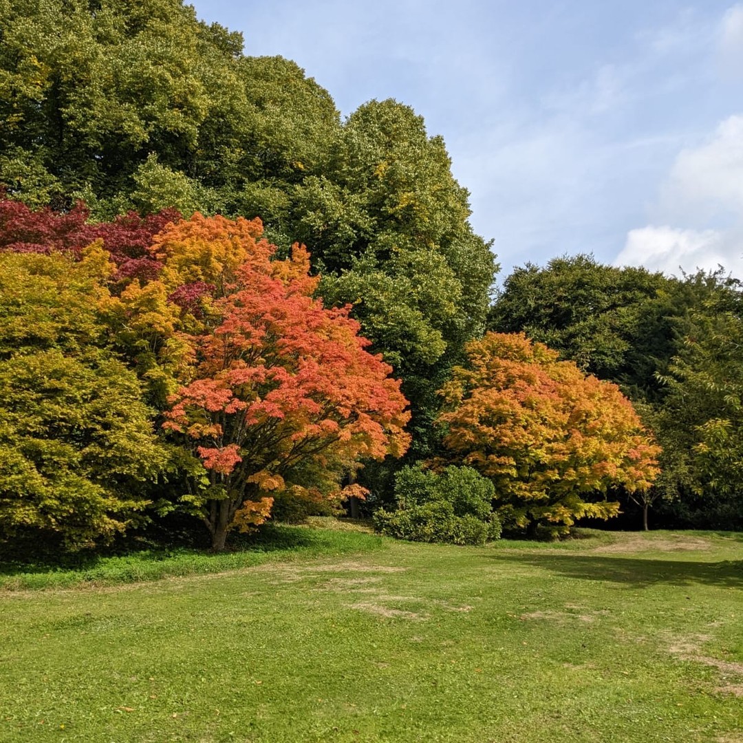 Photo showing autumn trees at Batsford Arboretum in the Cotswolds during autumn half term