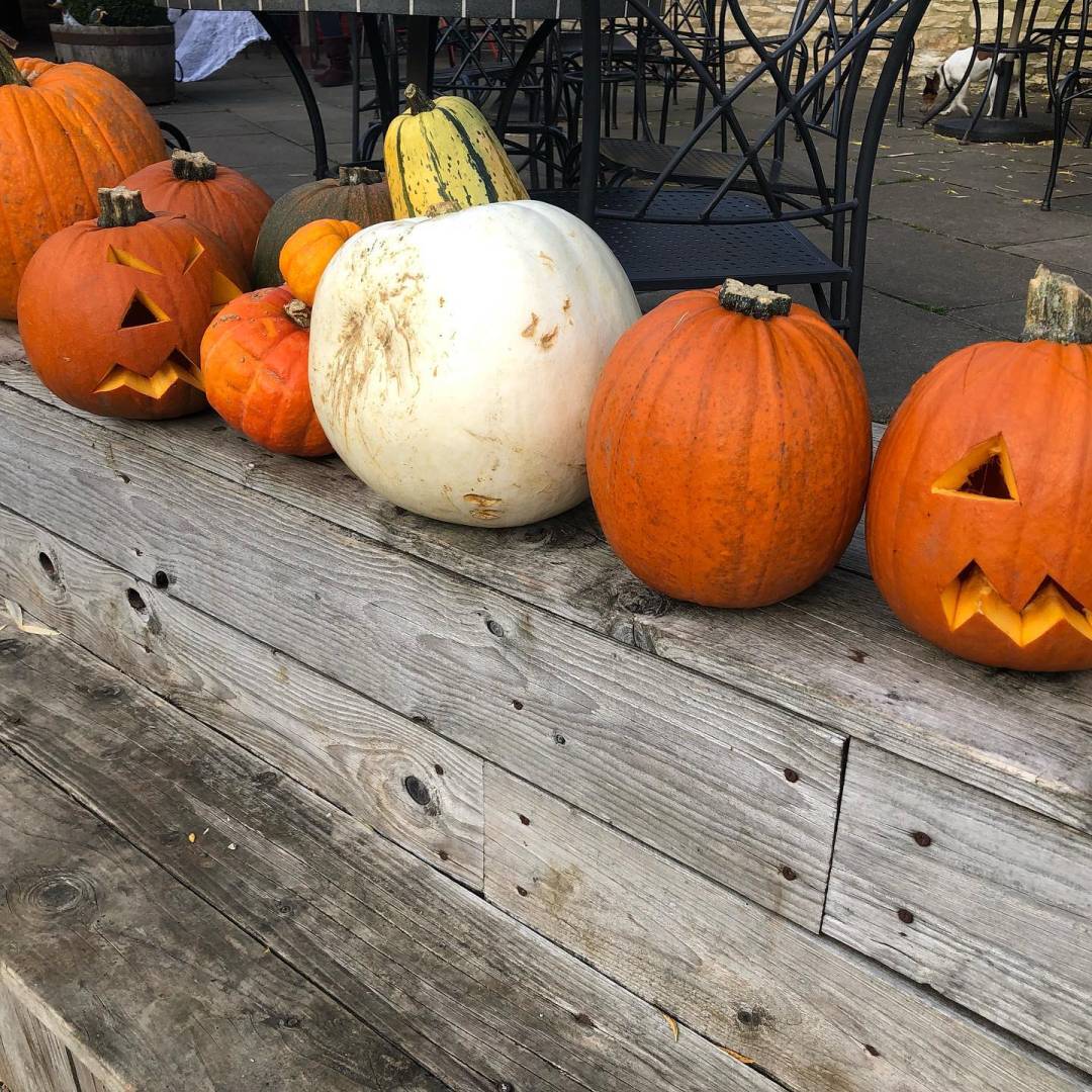 Row of Halloween pumpkins during autumn Half term
