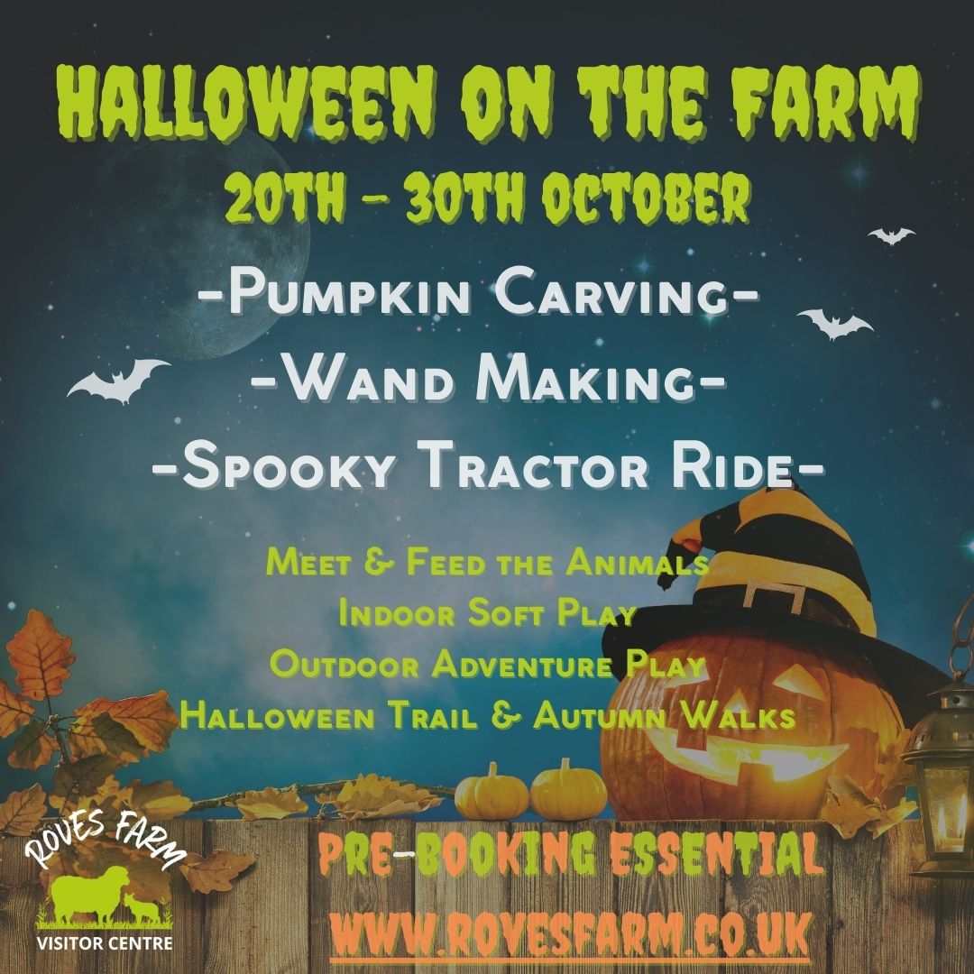 Event poster showing Halloween activities for autumn half term